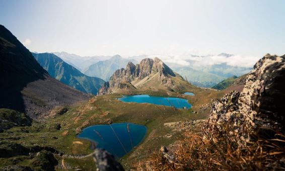 image_1